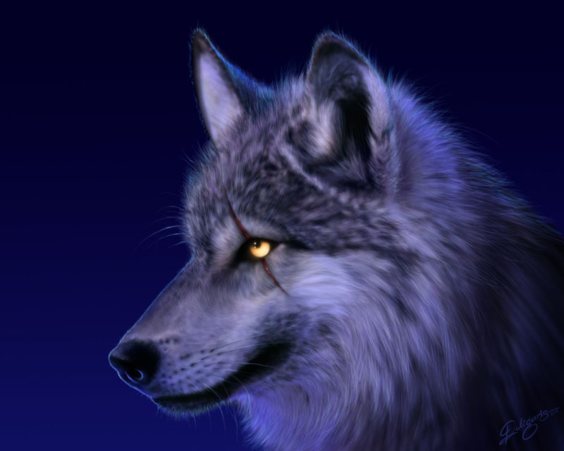 color30.jpg